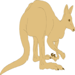 Kangaroo 04 Clip Art