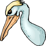 Pelican 15 Clip Art