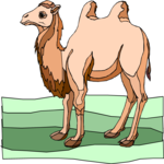 Camel 13 Clip Art