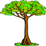 Tree 191