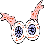 Eyeballs 1 Clip Art