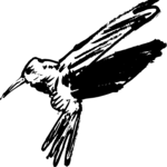 Hummingbird Clip Art