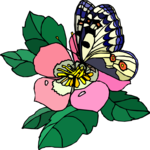Butterfly 136 Clip Art