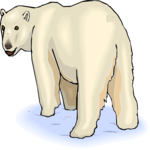 Bear - Polar 13 Clip Art