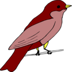 Bird Perched 13 Clip Art