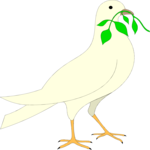 Dove 13 Clip Art