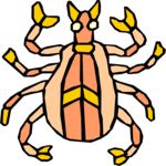 Bug 118