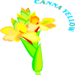 Canna Yellow Clip Art