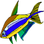 Emperor Tetra Clip Art