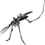 Insect 3 Clip Art
