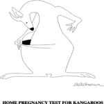 Kangaroo - Pregnancy Test Clip Art