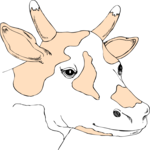 Cow 35 Clip Art
