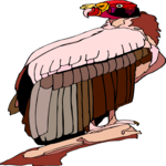 Vulture 8 Clip Art