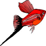 Swordtail 1 Clip Art