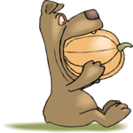 Bear Eating Pumpkin Clip Art