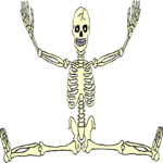 Skeleton 11