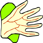 Hand 6 Clip Art