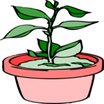 Plant 082 Clip Art