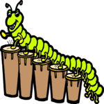 Drummer - Centipede