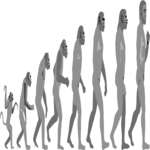 Evolutionary Chain Clip Art