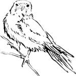 Bird Perched 04 Clip Art