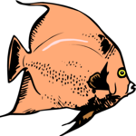 Angel Fish 04 Clip Art