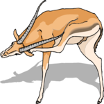 Gazelle 5 Clip Art