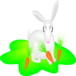 Rabbit 13 Clip Art