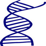 Biology - DNA Strand 1