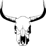 Steer Skull 01