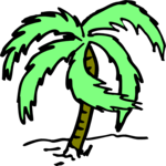 Palm Tree 45