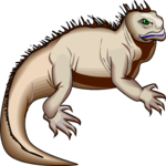 Iguana 4 Clip Art