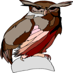 Owl 37 Clip Art
