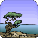 Tree 153