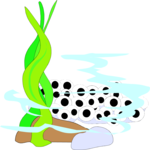 Frog Eggs Clip Art