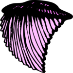 Sea Shell 37 Clip Art