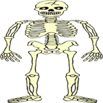 Skeleton 10
