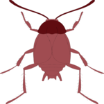 Crawling Insect 21 Clip Art