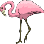 Flamingo 16 Clip Art