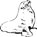Sea Lion Clip Art