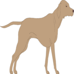 Dog 023 Clip Art