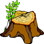 Tree Stump 09