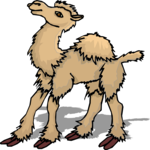 Camel 17 Clip Art