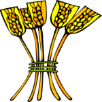 Wheat Chaffs 1 Clip Art