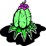 Cactus 38 Clip Art