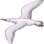 Seagull 15 Clip Art