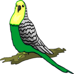 Parakeet 4 Clip Art
