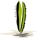 Cactus 48