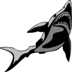 Shark 17 Clip Art