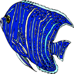 Angel Fish 14